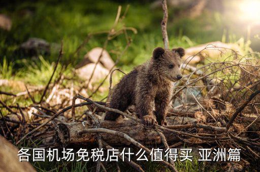各國(guó)機(jī)場(chǎng)免稅店什么值得買(mǎi) 亞洲篇