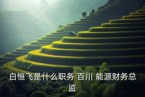 白恒飛是什么職務(wù) 百川 能源財務(wù)總監(jiān)