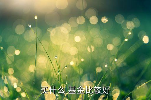 買(mǎi)什么 基金比較好