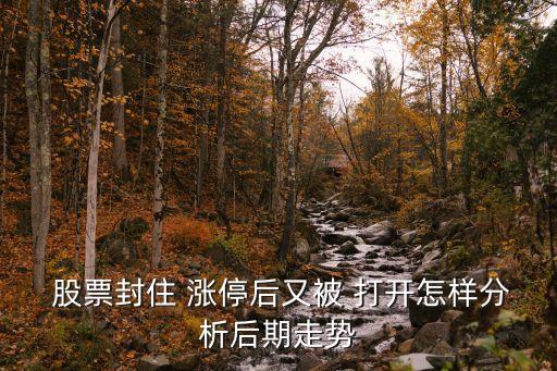  股票封住 漲停后又被 打開怎樣分析后期走勢(shì)