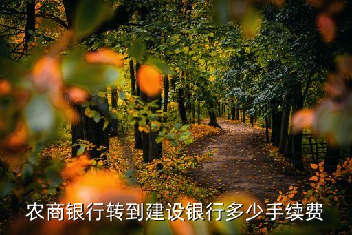 農(nóng)商銀行轉(zhuǎn)到建設銀行多少手續(xù)費
