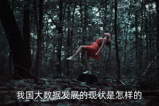 我國大數據發(fā)展的現狀是怎樣的