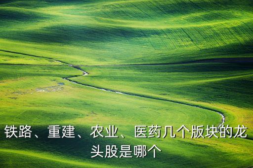 鐵路、重建、農(nóng)業(yè)、醫(yī)藥幾個版塊的龍頭股是哪個