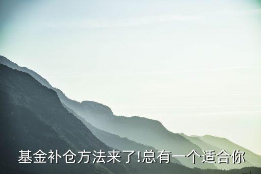  基金補(bǔ)倉方法來了!總有一個適合你