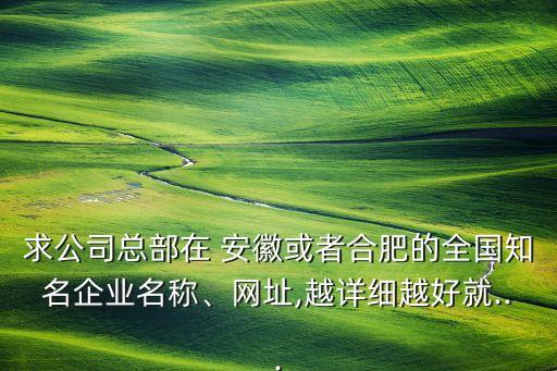 求公司總部在 安徽或者合肥的全國(guó)知名企業(yè)名稱(chēng)、網(wǎng)址,越詳細(xì)越好就...