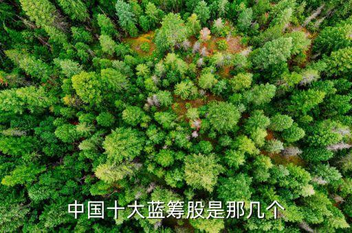 中國十大藍(lán)籌股是那幾個