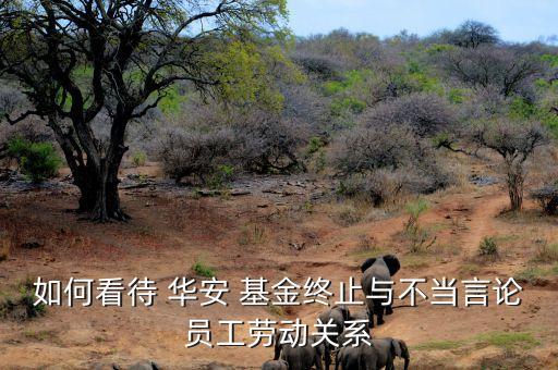 如何看待 華安 基金終止與不當言論員工勞動關(guān)系