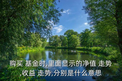 購買 基金時(shí),里面顯示的凈值 走勢(shì),收益 走勢(shì),分別是什么意思