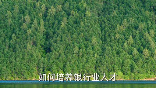 渣打銀行投行業(yè)務dcm