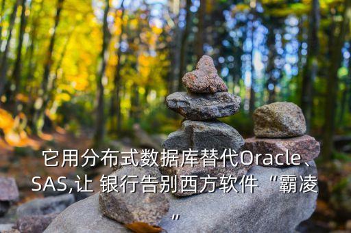 它用分布式數(shù)據(jù)庫替代Oracle、SAS,讓 銀行告別西方軟件“霸凌”
