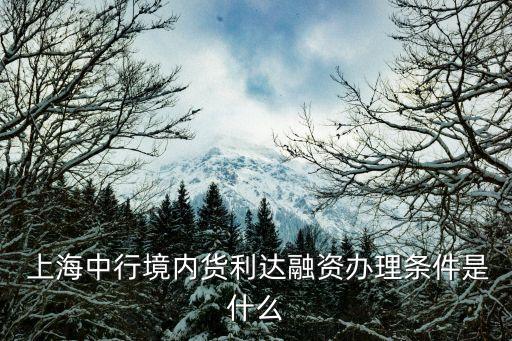 上海期貨交易所標準倉單是什么