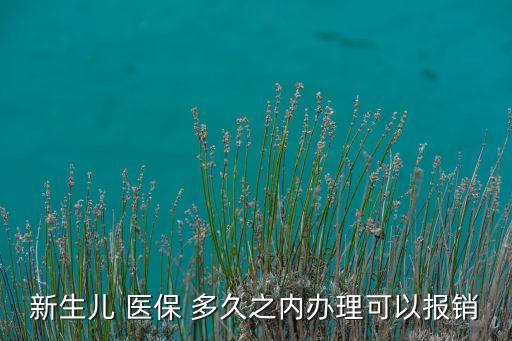 新生兒 醫(yī)保 多久之內(nèi)辦理可以報(bào)銷(xiāo)
