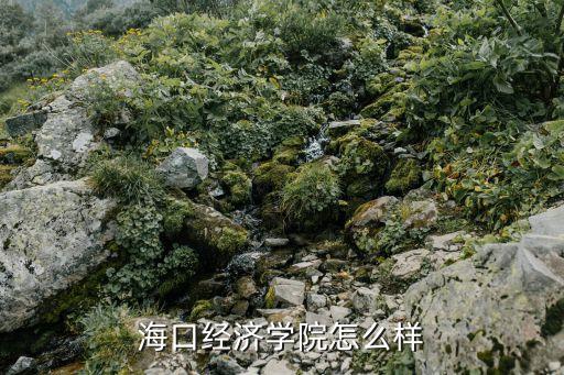 ?？诮?jīng)濟(jì)學(xué)院怎么樣
