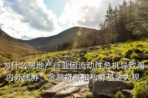 為什么房地產(chǎn)行業(yè)因流動(dòng)性危機(jī)導(dǎo)致海內(nèi)外債券、金融貸款和私募基金大規(guī)...