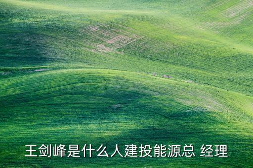 王劍峰是什么人建投能源總 經理
