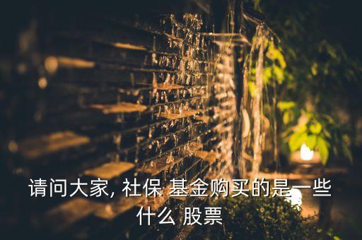 社保107基金持有的股票,2022年社保基金重倉(cāng)股票