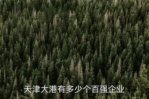 天津大港有多少個(gè)百?gòu)?qiáng)企業(yè)