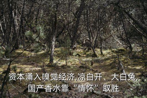 瀘州老窖互聯網投資