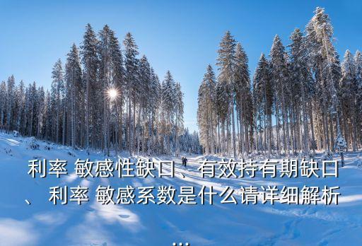  利率 敏感性缺口、有效持有期缺口、 利率 敏感系數(shù)是什么請(qǐng)?jiān)敿?xì)解析...