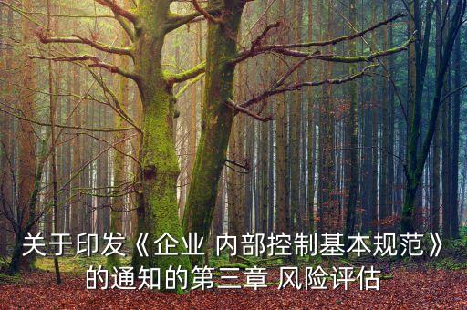 子公司內(nèi)部項目風險評審標準