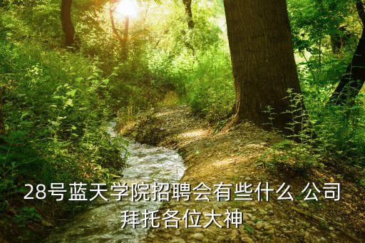 28號藍天學(xué)院招聘會有些什么 公司拜托各位大神