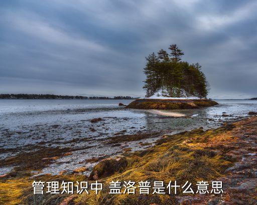 蓋洛普調查公司,美國蓋洛普公司介紹