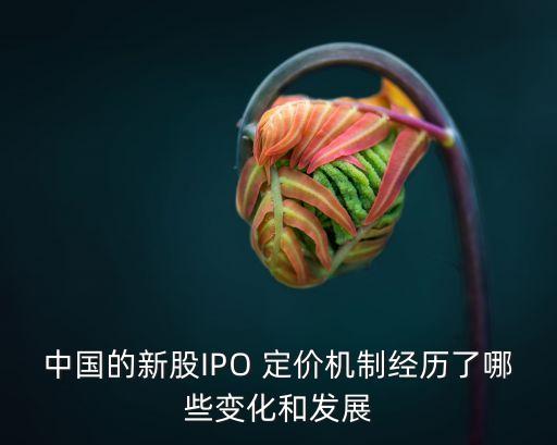 中國的新股IPO 定價機制經(jīng)歷了哪些變化和發(fā)展