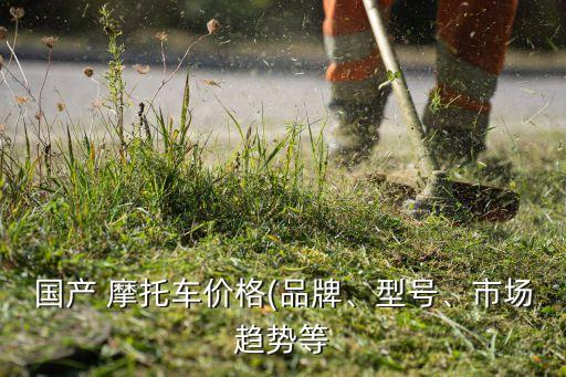 國產(chǎn) 摩托車價格(品牌、型號、市場趨勢等
