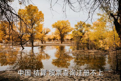 中國 結算 股票查詢注冊不上