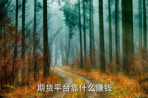  期貨平臺(tái)靠什么賺錢