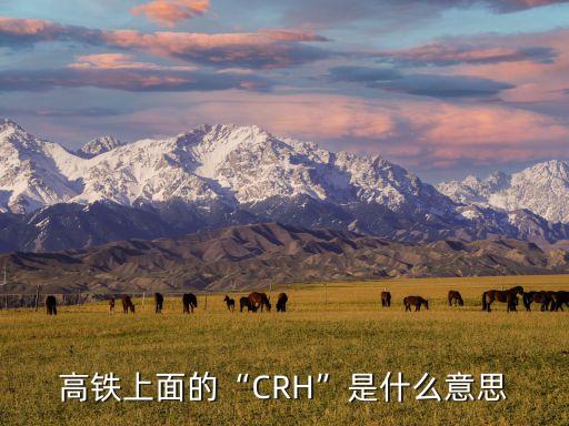 中國(guó)制造的動(dòng)車(chē)組名稱(chēng)