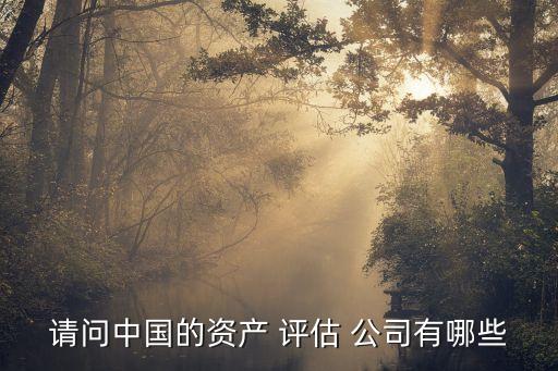 請(qǐng)問中國(guó)的資產(chǎn) 評(píng)估 公司有哪些