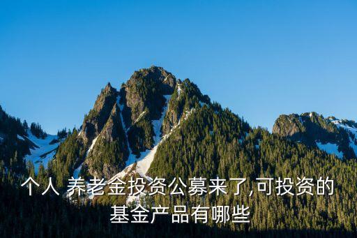 個人 養(yǎng)老金投資公募來了,可投資的 基金產品有哪些