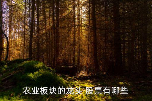 農業(yè)板塊的龍頭 股票有哪些