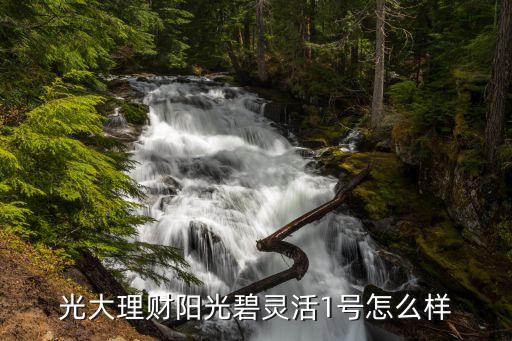光大理財(cái)陽光碧靈活1號(hào)怎么樣