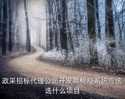 政采招標代理公司開發(fā)票稅控系統(tǒng)應(yīng)該選什么項目