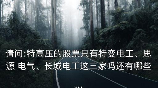 請(qǐng)問:特高壓的股票只有特變電工、思源 電氣、長(zhǎng)城電工這三家嗎還有哪些...