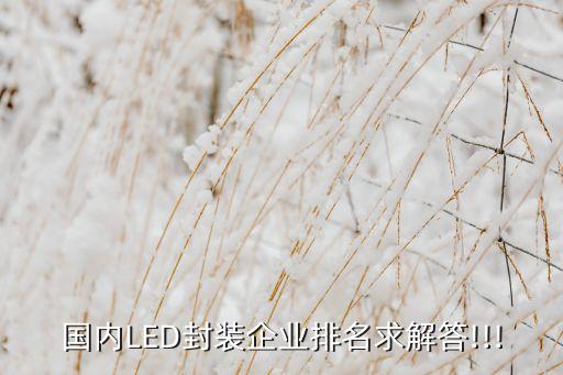 國內LED封裝企業(yè)排名求解答!!!