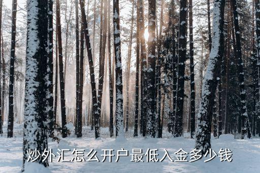 炒外匯怎么開(kāi)戶(hù)最低入金多少錢(qián)