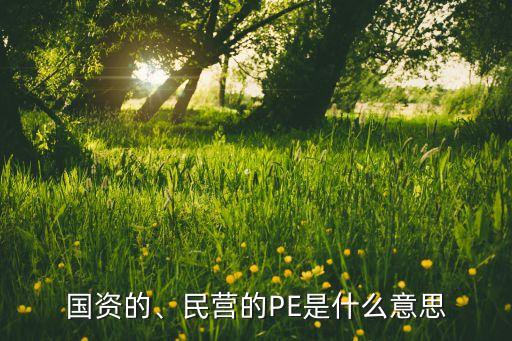 國資的、民營的PE是什么意思