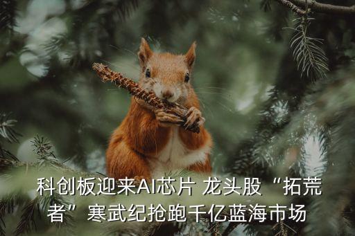  科創(chuàng)板迎來AI芯片 龍頭股“拓荒者”寒武紀搶跑千億藍海市場