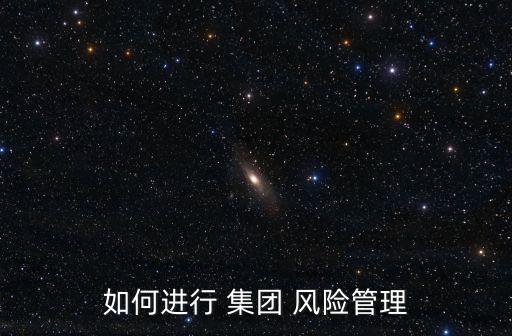 如何進行 集團 風(fēng)險管理