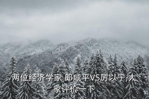 郎咸平談聯想公司并購
