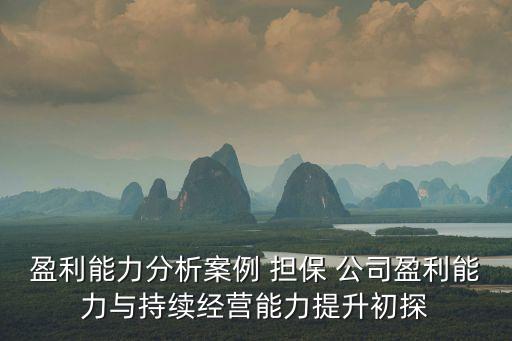 盈利能力分析案例 擔(dān)保 公司盈利能力與持續(xù)經(jīng)營(yíng)能力提升初探