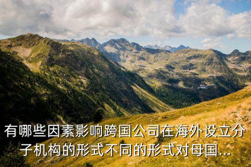 有哪些因素影響跨國公司在海外設(shè)立分子機構(gòu)的形式不同的形式對母國...