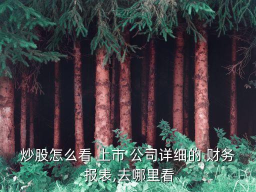 炒股怎么看 上市 公司詳細的 財務 報表,去哪里看