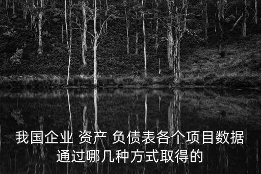 我國企業(yè) 資產(chǎn) 負(fù)債表各個項目數(shù)據(jù)通過哪幾種方式取得的