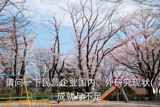請問一下民營企業(yè)國內(nèi)、外研究現(xiàn)狀(成就與不足