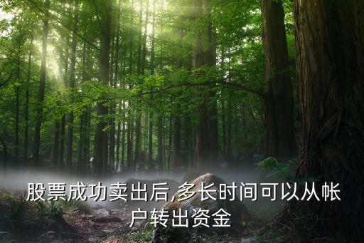  股票成功賣(mài)出后,多長(zhǎng)時(shí)間可以從帳戶轉(zhuǎn)出資金