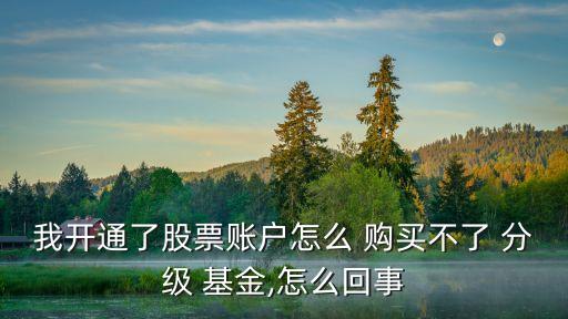 分級(jí)基金如何購買,已購買的基金如何退出來